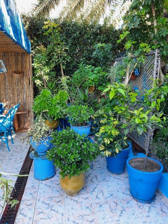 Maison D Hotes Marine Ksar Sghir Dış mekan fotoğraf