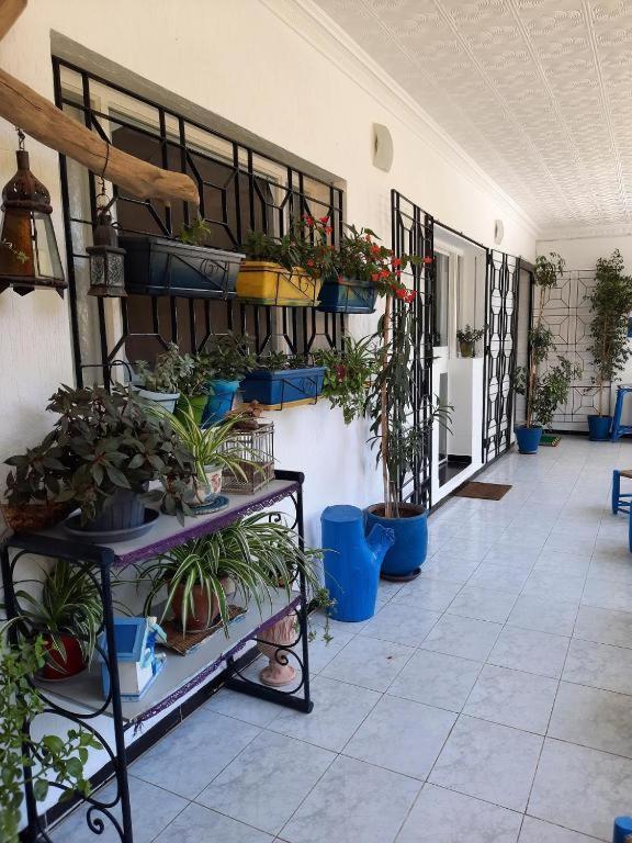 Maison D Hotes Marine Ksar Sghir Dış mekan fotoğraf