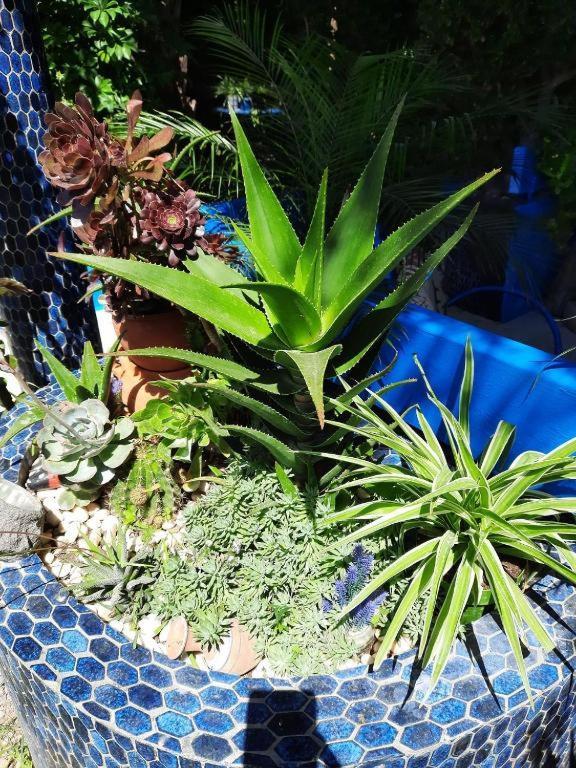 Maison D Hotes Marine Ksar Sghir Dış mekan fotoğraf