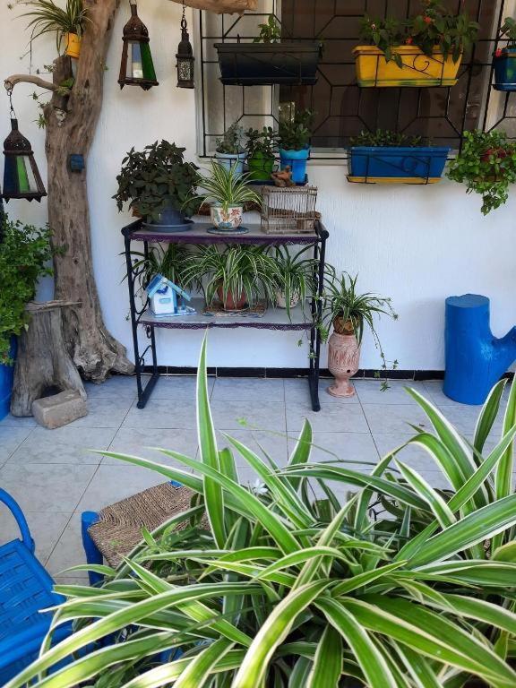 Maison D Hotes Marine Ksar Sghir Dış mekan fotoğraf