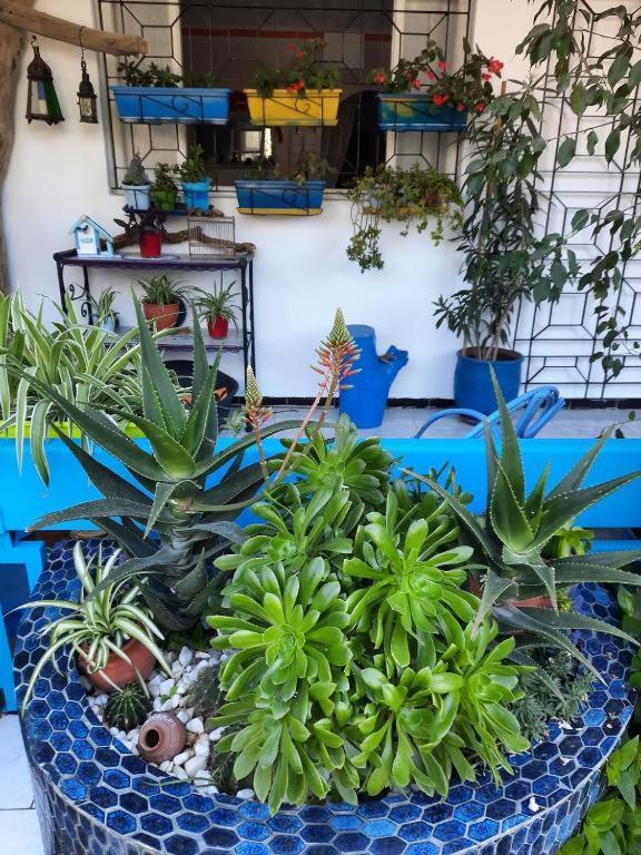 Maison D Hotes Marine Ksar Sghir Dış mekan fotoğraf