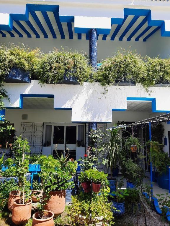Maison D Hotes Marine Ksar Sghir Dış mekan fotoğraf