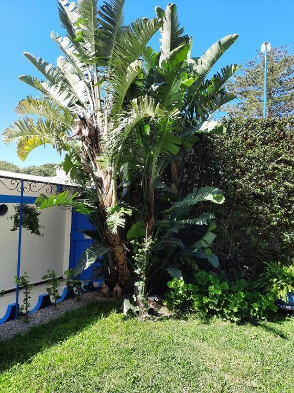 Maison D Hotes Marine Ksar Sghir Dış mekan fotoğraf