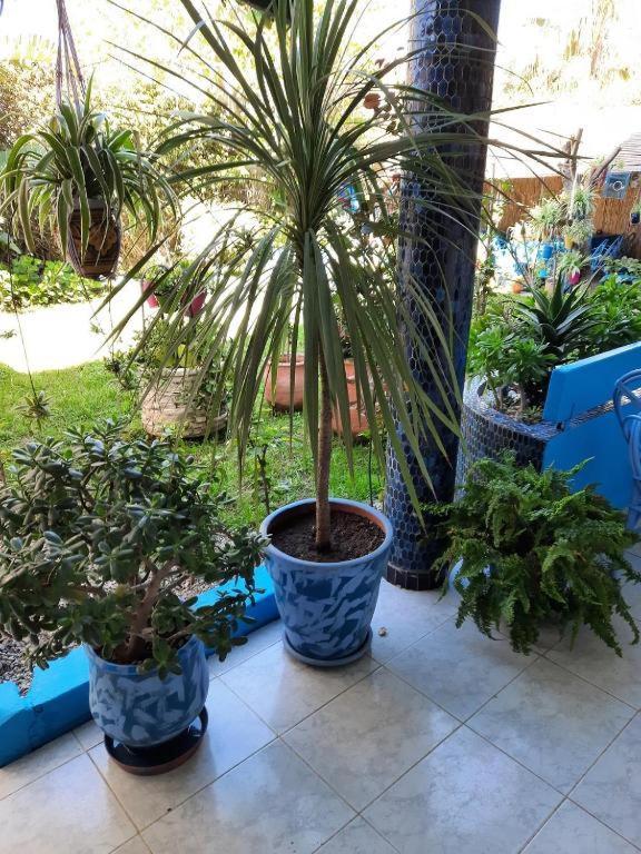 Maison D Hotes Marine Ksar Sghir Dış mekan fotoğraf