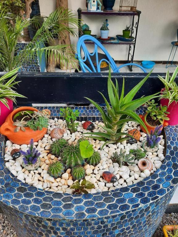 Maison D Hotes Marine Ksar Sghir Dış mekan fotoğraf